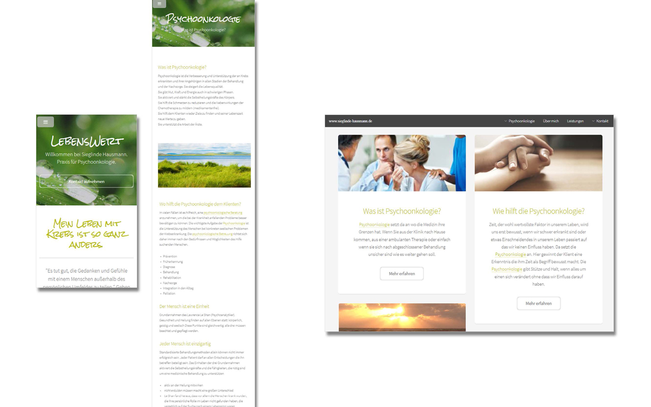 case-03_ui-designs_referenzen_07a